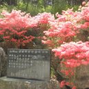 양림목장 이미지