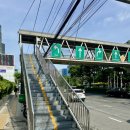 여유로운 아침의 클래식 산책 | 룸피니 공원, 방콕 최대 파크에서 왕도마뱀과 즐기는 여유로운 아침 산책 후기