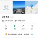 바당고띠 이미지