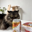 GS25은행주공점 이미지