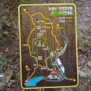 힐링(장태산) 이미지