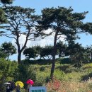 곡성기차마을전통시장 | 곡성 기차마을 동화정원 코스모스, 엄마와 함께한 가을 나들이