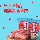 혜성기획 이미지