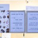 멍쉬멜로 이미지