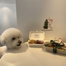 배배앤추 이미지