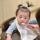 대가촌 | 8개월 아기랑 정선 파크로쉬 2박 3일 (숙암킹 스위트, 아기용품 대여, 웰니스, 조식, 맛집, 카페, 가볼...