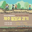 밭담 이미지