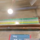 동아리카레 이미지