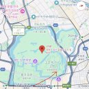 메타스테이션 | 일본와서 러닝 찍먹. 아식스 도쿄 스테이션 및 황궁런 후기