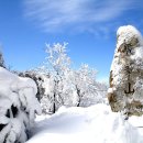 1월17일(일요당일) 울진의 응봉산/재량박골 오지 눈꽃산행 이미지