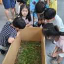 수원-0805 이미지