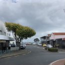 올프레스커피 이미지