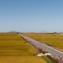 신흥마을영농조합법인 이미지