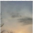 소나무황토펜션 이미지