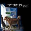 분평동물병원 이미지