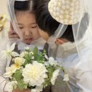 태리룸 이미지