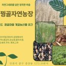 영종도농산물곶간꿩골자연농장