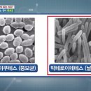 김뚱보 이미지