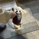 어웜 이미지