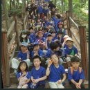 한양대 참 태권도장 이미지