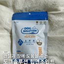 도그힙 이미지