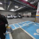 나비프라자 | [남양주/갈매][내돈내산]60평 대형 키즈풀카페 나비풀파티 솔직 방문 후기