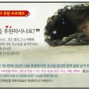 이리온 2 네이버블로그