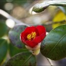 무심재민박 이미지