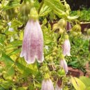 서흥초교 이미지