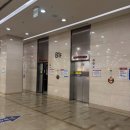 래미네일 | 여름 패디 컬러추천 신도림 젤네일 여름패디원컬러 [래미네일]