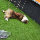 관악경찰서 | 신림파티룸, 방음 없는 곳 가시면 경찰서에서 파티 이어가십니다