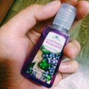 배쓰앤바디웍스 미니세정제 바인야드와일드베리 VINEYARD WILDBERRIES
