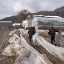 윤형빈 소극장 이미지