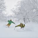 해외 스키 투어 | 일본 홋카이도 파우더스키] 이미지