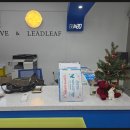 리프어학원