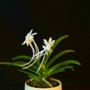 노원-공릉-3182 이미지