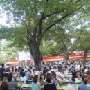 마 비어 이미지