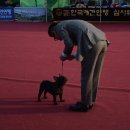 라온(RAON) 이미지