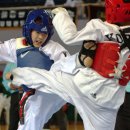 용인대 스타태권도장 이미지