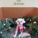 살롱드도만 이미지