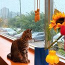 율전로63번길 이미지