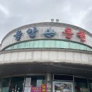 율암온천 티스토리