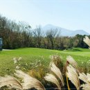 더클래식CC 이미지