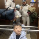 2025.11 영흥도십리포캠핑장 캠핑 로그~