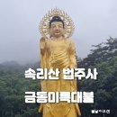 충북 보은 가볼만한 곳 속리산국립공원 법주사 금동미륵대불 변천사