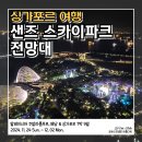 싱가포르 슈퍼트리 쇼 후기｜ 샌즈 스카이파크 전망대 무료 입장 방법과 야경