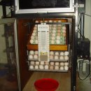 명가농장 이미지