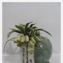 세무법인지성 네이버블로그