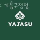 야자수 기흥구청 이미지