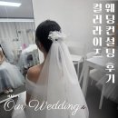 컬러라이즈 | 💍​[컬러라이즈강남] 웨딩 컨설팅 후기 - 여름 뮤트 & 웨이브 체형 맞춤 드레스 가이드